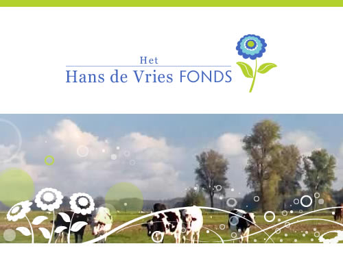 Hans de Vries Fonds